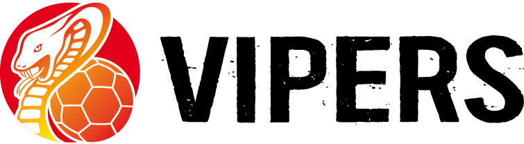 HSG Bad Wildungen Vipers